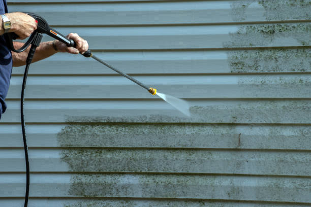 Best Dumpster Area Cleaning  in Water Mill, NY